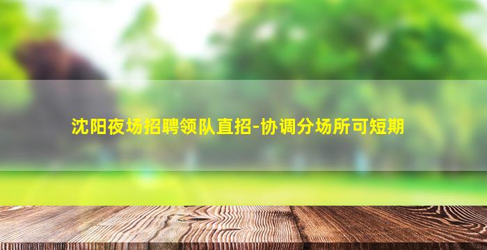 沈阳夜场招聘领队直招-协调分场所可短期